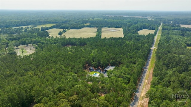 4000 Old River Rd S, Brooklet, GA 30415 - bird's eye view of a heavily wooded area