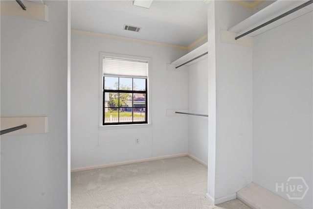145 Cardinal Rd, Savannah, GA 31406 - walk in closet with carpet flooring