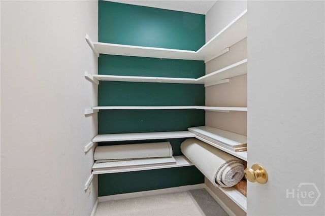 145 Cardinal Rd, Savannah, GA 31406 - view of pantry