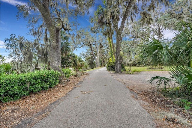 145 Cardinal Rd, Savannah, GA 31406 - view of road