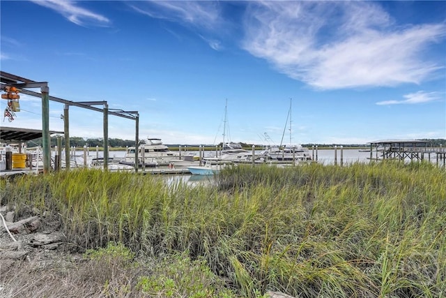 145 Cardinal Rd, Savannah, GA 31406 - dock area featuring a water view
