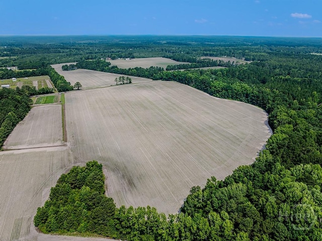 0 Ingram Rd, Springfield, GA 31329 - photo 2