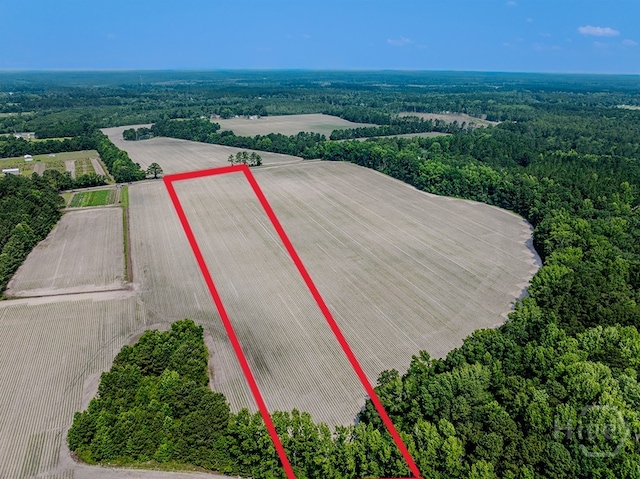 0 Ingram Rd, Springfield, GA 31329 - photo 1