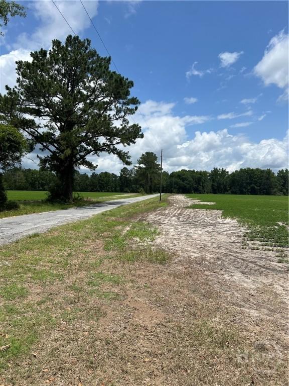 0 Ingram Rd, Springfield, GA 31329 - photo 9