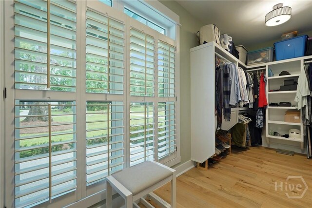 315 Linkside Lake Dr, Richmond Hill, GA 31324 - walk in closet featuring light wood-style floors