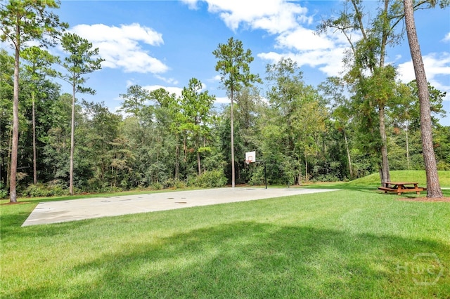 315 Linkside Lake Dr, Richmond Hill, GA 31324 - view of green lawn featuring community basketball court