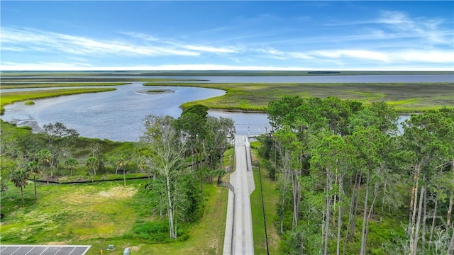 315 Linkside Lake Dr, Richmond Hill, GA 31324 - aerial view of a nearby body of water