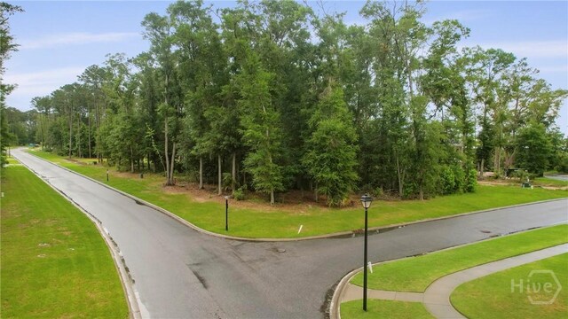 21 Ossabaw Ct, Richmond Hill, GA 31324 - photo 3