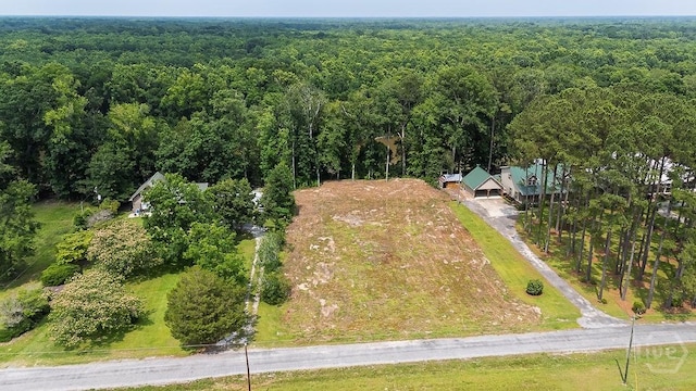 0 Seines Landing Dr, Springfield, GA 31329