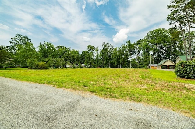 0 Seines Landing Dr, Springfield, GA 31329
