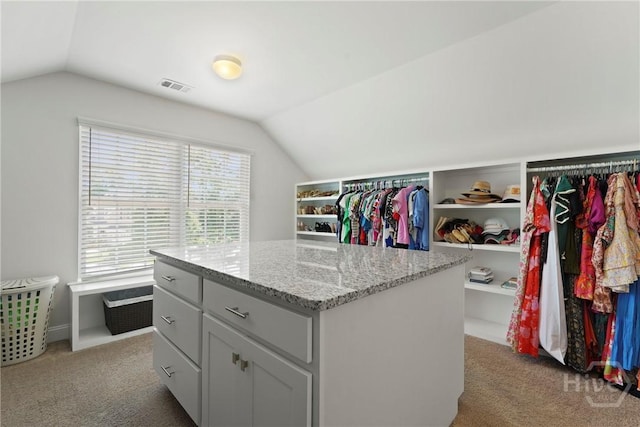 20 Oakcrest Ct, Savannah, GA 31405 - walk in closet featuring lofted ceiling and carpet floors