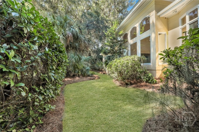 3 Elcy Ln, Savannah, GA 31411 - view of green lawn