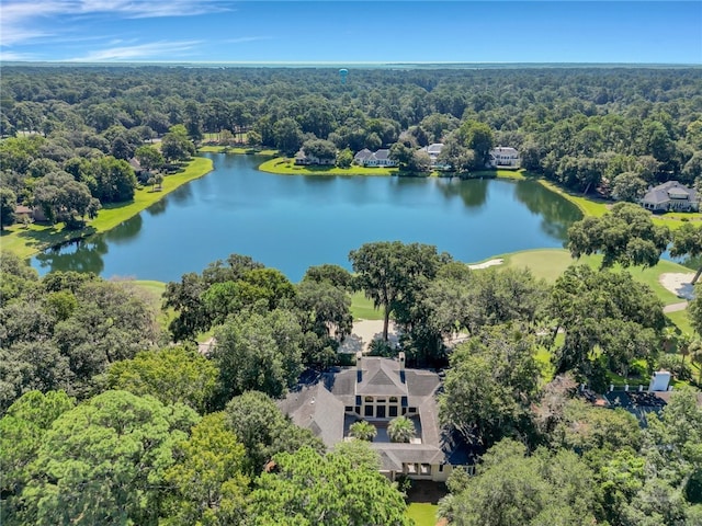 3 Elcy Ln, Savannah, GA 31411 - aerial view of a heavily wooded area and a nearby body of water