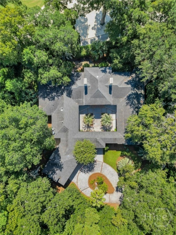 3 Elcy Ln, Savannah, GA 31411 - view of property location