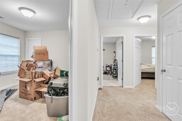 194 Calm Oaks Cir, Savannah, GA 31419 - corridor featuring attic access, carpet, and baseboards