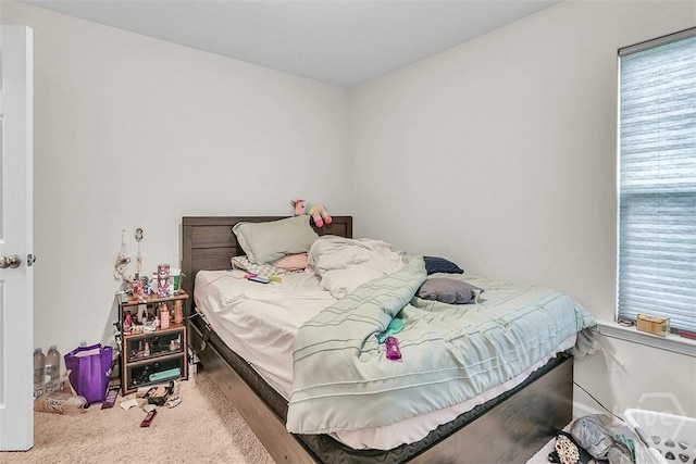 194 Calm Oaks Cir, Savannah, GA 31419 - view of carpeted bedroom