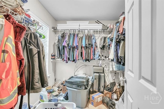 194 Calm Oaks Cir, Savannah, GA 31419 - view of spacious closet
