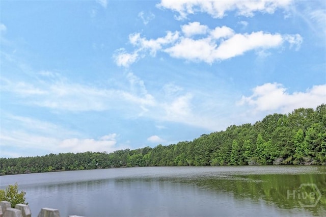 194 Calm Oaks Cir, Savannah, GA 31419 - water view featuring a heavily wooded area