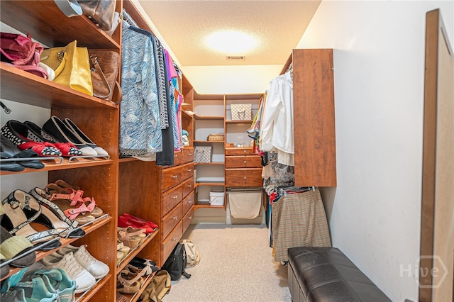 6 Pine Shadow Ct, Savannah, GA 31411 - spacious closet with carpet flooring