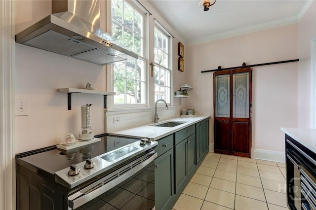 123 W Park Ave Unit 2, Savannah, GA 31401 - kitchen featuring wall chimney exhaust hood, stainless steel electric range oven, a sink, green cabinets, and a barn door
