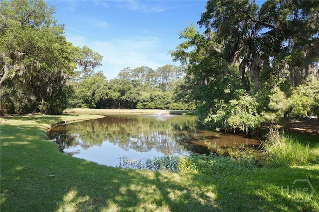 120 Marsh Harbor Dr S, Savannah, GA 31410 - water view featuring a forest