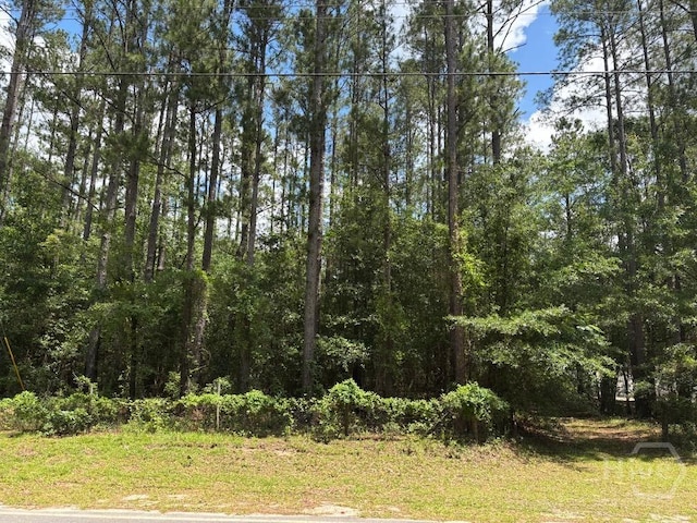307 Arden Loop Cir, Ellabell, GA 31308
