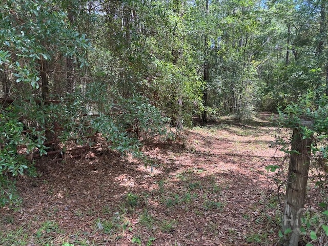 307 Arden Loop Cir, Ellabell, GA 31308