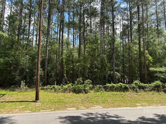 307 Arden Loop Cir, Ellabell, GA 31308