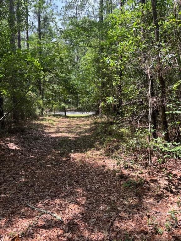 307 Arden Loop Cir, Ellabell, GA 31308