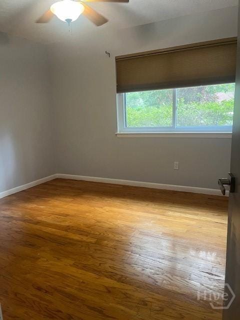 5 Chesterfield Ct, Savannah, GA 31419 - empty room with wood finished floors, ceiling fan, and baseboards