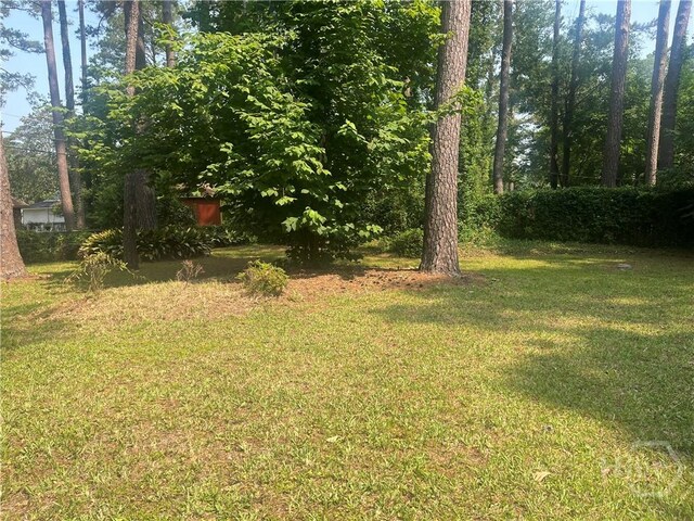 5 Chesterfield Ct, Savannah, GA 31419 - view of grassy yard