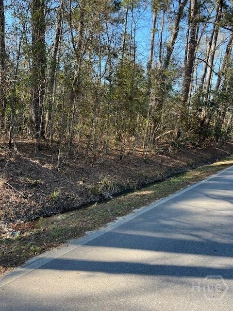 0 S Pine St, Bloomingdale, GA 31302 - photo 1