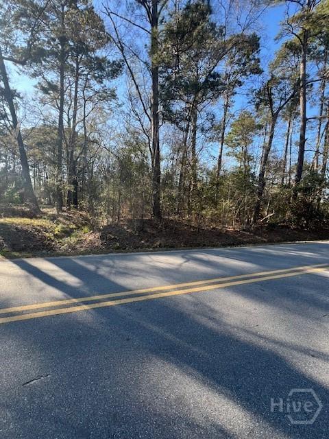 0 S Pine St, Bloomingdale, GA 31302 - photo 2