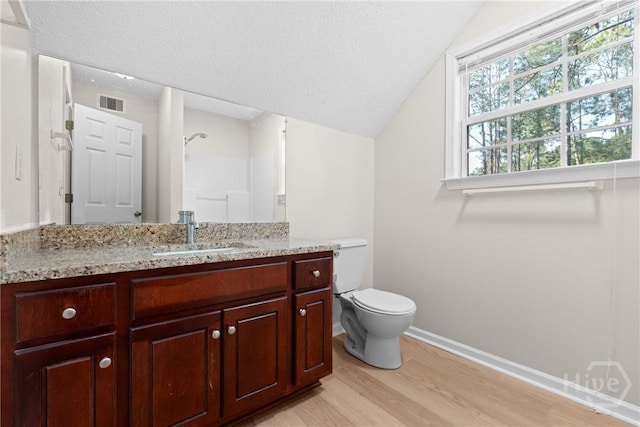 800 N Taylor Ct, Statesboro, GA 30461 - full bath featuring wood finished floors, vanity, toilet, baseboards, and vaulted ceiling