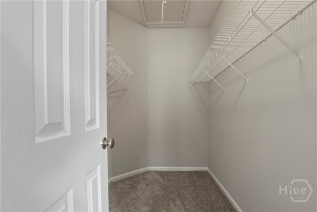 301 Morgan Pines Dr, Pooler, GA 31322 - spacious closet featuring carpet flooring