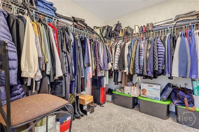 4 Broken Bit Rd, Ellabell, GA 31308 - walk in closet with carpet flooring