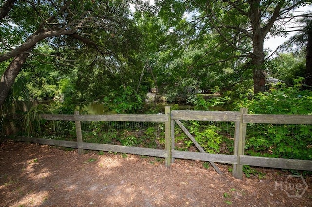 104 Ropemaker Ln, Savannah, GA 31410 - view of gate