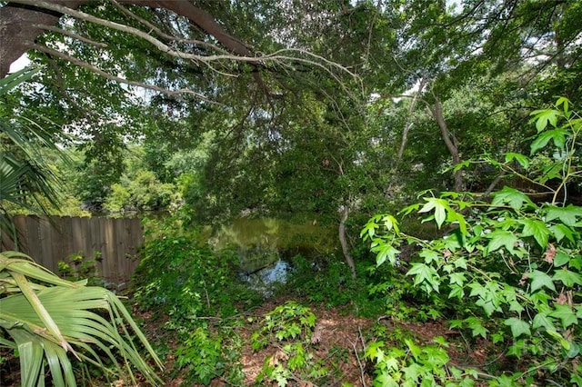 104 Ropemaker Ln, Savannah, GA 31410 - view of nature