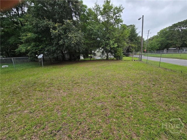 1922 Fenwick Ave, Savannah, GA 31405 - view of yard
