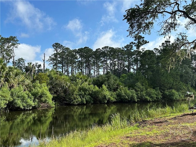 8 Topsail Ct, Savannah, GA 31411