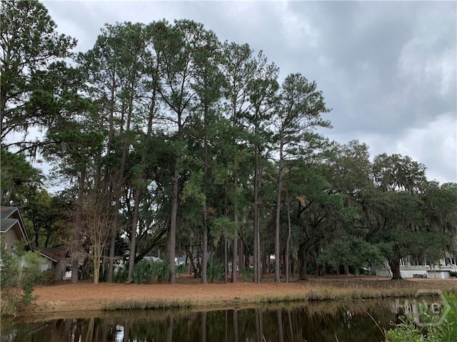 8 Topsail Ct, Savannah, GA 31411