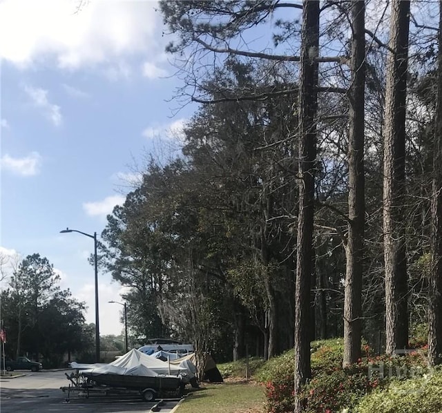 12300 Apache Ave Unit 1206, Savannah, GA 31419 - view of road featuring street lights