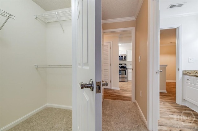 12300 Apache Ave Unit 1206, Savannah, GA 31419 - spacious closet with light carpet