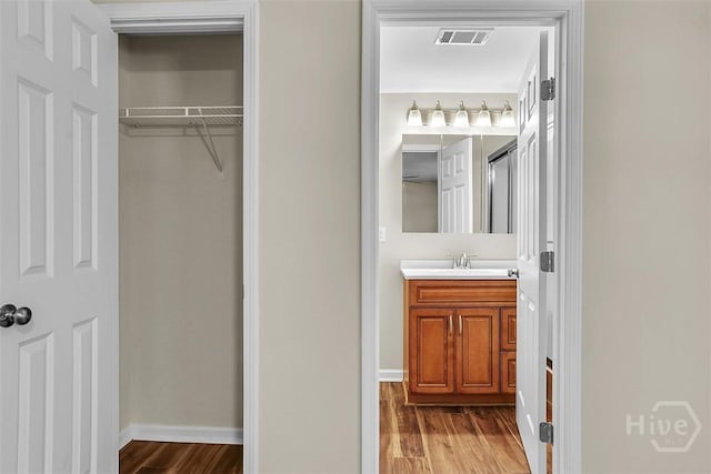 142 Bill Brown Rd, Pembroke, GA 31321 - bathroom featuring wood finished floors, vanity, and a spacious closet