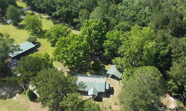 142 Bill Brown Rd, Pembroke, GA 31321 - view of property location featuring a forest