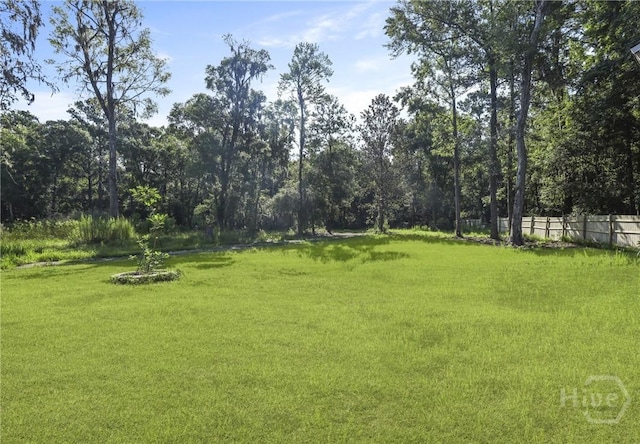 1346 Ryans Way, Pooler, GA 31322 - view of yard