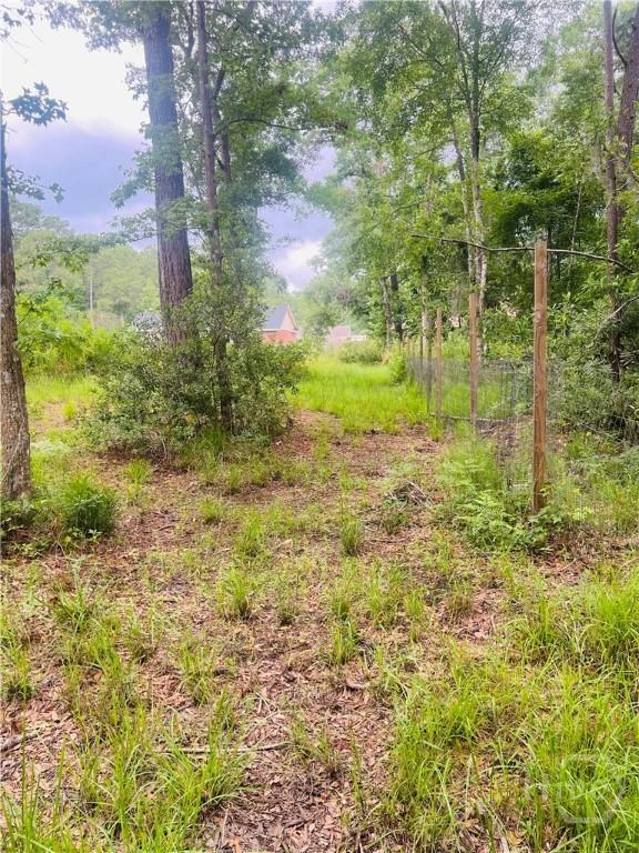 1346 Ryans Way, Pooler, GA 31322 - photo 38