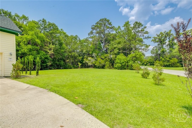 1 Shipyard Ln, Savannah, GA 31406 - view of green lawn with view of scattered trees