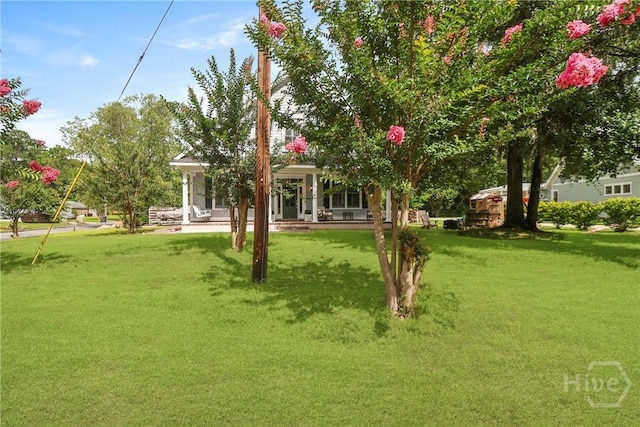 49 Tidewater Rd, Savannah, GA 31406 - view of green lawn with a porch