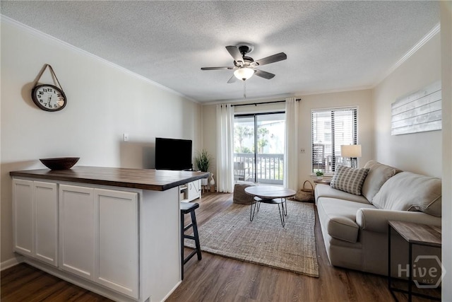 1217 Bay St Unit 105A, Tybee Island, GA 31328 - living area with a textured ceiling, ceiling fan, dark wood-style flooring, and crown molding